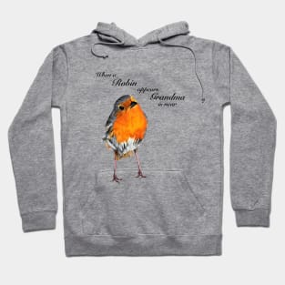 When a Robin appears Grandma is near - condolence gift - memorial gift - in sympathy - in loving memory Hoodie